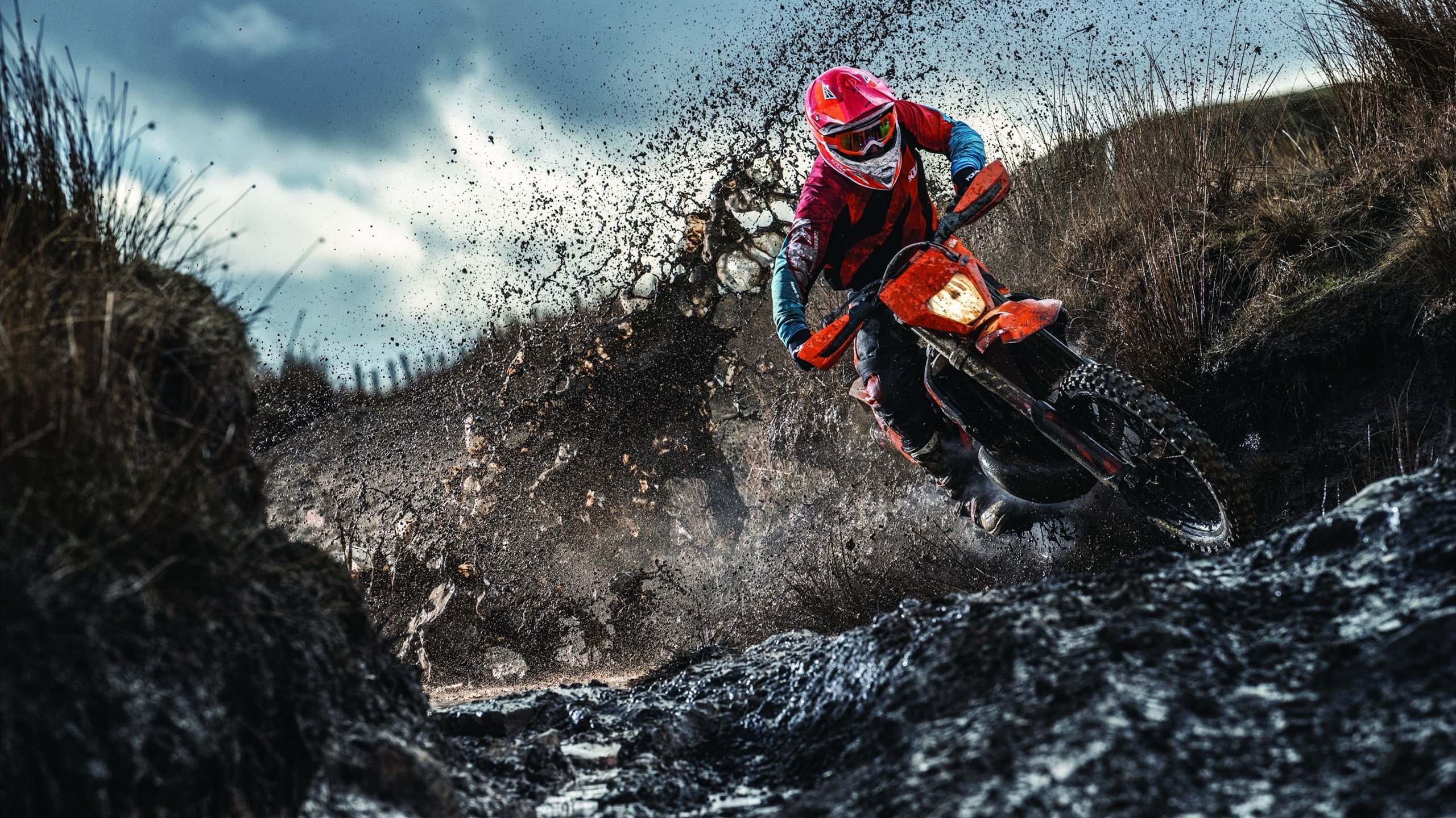 福克斯惊艳四座,雄鹿战术体系全面压制北京队