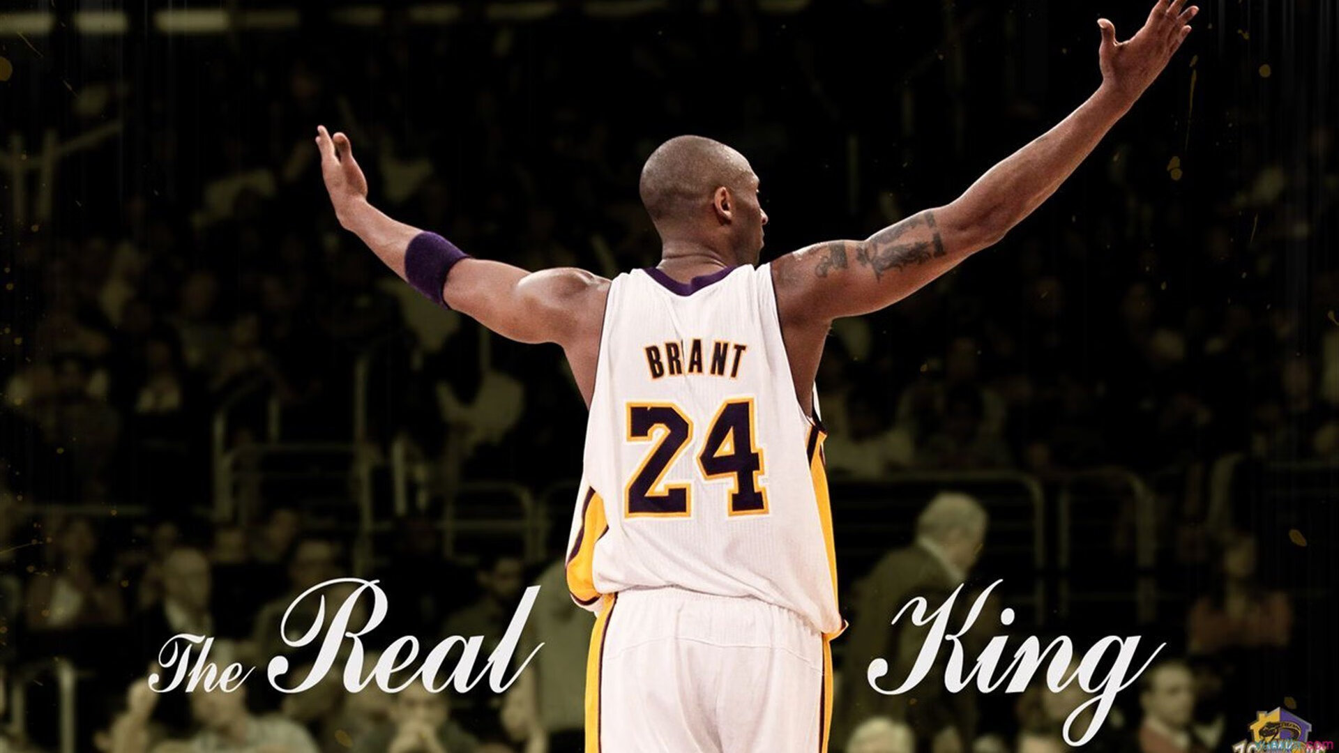 开云官方app入口-从救赎到征服，罗德里戈的蜕变与曼城的致命一击